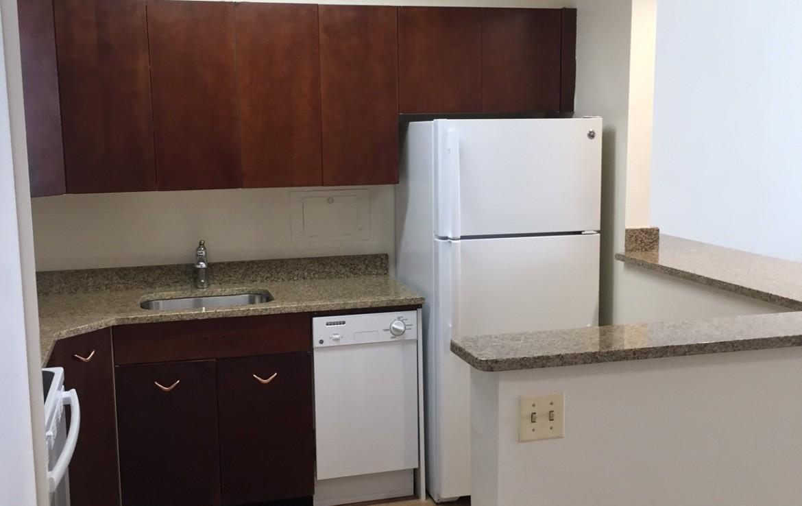 1500 Chicago 1BR kitchen new